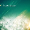 Restfull Sleep Music Collection - New Age Silent Meditation