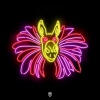 Wiwek、WatchtheDuck - Curious