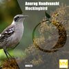 Anurag Nandvanshi - Mocking Bird