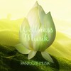 Entspannende Musik Wellness - Wellness Spa Musik
