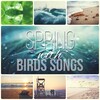 Hypnosis Nature Sounds Universe - Spring with Birds Songs