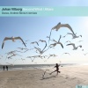 Johan Vilborg、Dezza - Second Wind (Dezza Remix)
