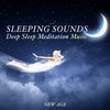 Quiet Moments - Ambient Music for Sleep and Yoga