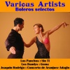 los dandys - Gema