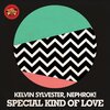 Kelvin Sylvester、Nephrok! - Special Kind of Love (Instrumental Mix 纯音乐)