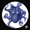 Rawdio - Octophant