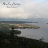 Painless Destiny - Freedom (Once more)