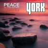 York《The Awakening (DJ Shah Remix)》[MP3/LRC]