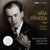 Váša Příhoda、Maria Bergmann - I. Allegro risoluto