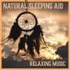 Deep Sleep Maestro Sounds - Natural Sleeping Aid (Harp Music)