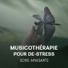 Académie de Musique Anti-stress - Détente et méditation profonde