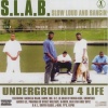 S.L.A.B.、Archie Lee、Pimp Skinny、Pee Wee、Trae Tha Truth、Lil’ B、J-Dub - Miss My Nigga Screw (S.L.A.B.ed|Explicit)