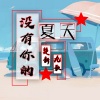 楚新、九歌 - 没有你的夏天