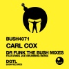 Carl Cox《Dr. Funk (Carl Cox El Rancho Remix)》[MP3/LRC]