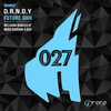 D.R.N.D.Y - Future GHH (Original Mix)