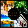 Only Imagine Meditation Universe - Spirit of Vitality