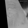 Avidus - Engarde