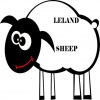 Leland - Sheep