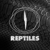 Reptiles《Abrepuertas》[MP3/LRC]