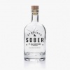 Afrojack、Rae Sremmurd、Stanaj - Sober
