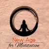 Healing Yoga Meditation Music Consort - 7 Chakras (Pan Flute Music)