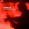 Ohm-G《Hulectric Soul (Vargo Remix)》[MP3/LRC]