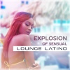 Latino Dance Music Academy、Bossa Nova Lounge Club - Explosion of Sensual Lounge Latino