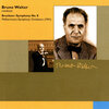 Philharmonic Symphony Orchestra - Symphony No. 8 in C Minor, WAB 108 (1892 version): I. Allegro moderato