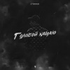 Strannik - Головой качаю ((Explicit))