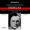 vittorio gui、Rome RAI Symphony Orchestra - Fidelio, Op. 72 (Sung in Italian): Overture