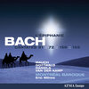 Franziska Gottwald - Jesus schlaft, was soll ich hoffen, BWV 81: Aria: Jesus schlaft, was soll ich hoffen? (Alto)