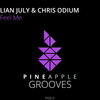 Chris Odium、Lian July - Feel Me