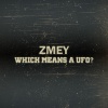 Zmey - Which Means a UFO?