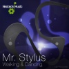 Mr. Stylus - Walking With Ten Walls