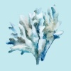 Manon - Island