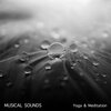 Buddhist Meditation Music Set、Meditation Zen Master、Yoga - Gusty Wind