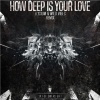 Calvin Harris、WildVibes、The Disciples、Elysium - How Deep Is Your Love (Elysium & WildVibes Remix)