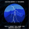 Calvin Harris、Rihanna、Wavers - This Is What You Came For (Wavers Bootleg)