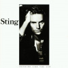Sting - Another Pyramid