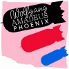 Phoenix - Lisztomania (Shook Remix)