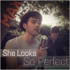 MAX - She Looks So Perfect