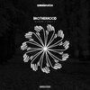 Cardanni Odassa - Route Xpress (Original Mix)