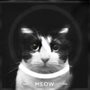 Dem Slackers - Meow