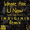 Indiginis《Where Are Ü Now (Indiginis Remix)》[MP3/LRC]