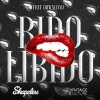 Vintage Culture、Shapeless - Bidolibido