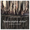 Stelios Vassiloudis - Sierra Alpha Victor (Original Mix)