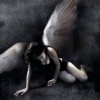 Moonnight、Dennis Sheperd、Ana Criado《Fallen Angel (Moonnight Remix)》[MP3/LRC]