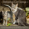 Cat Music Dreams、Cat Music Therapy - Still Night