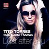 Tito Torres、Dante Thomas - Lust After You (Explicit)