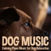 Pet Music Therapy、Dog Music Dreams、Relaxmydog《Stress Relief》[MP3/LRC]